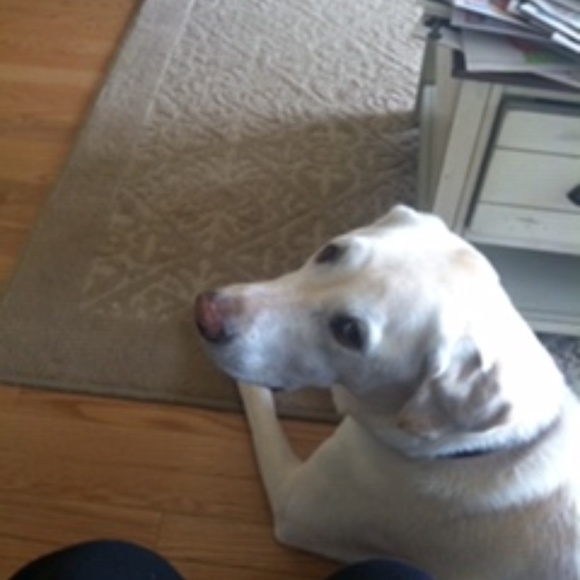 Meet your Posher, Kristin - Picture 1 of 1